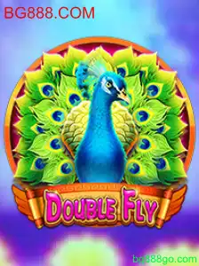 DoubleFly: Uma Experiência de Jogo Inigualável